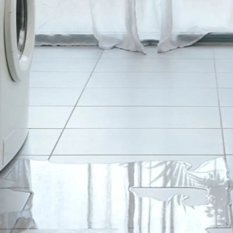 Appliance Leak Cleanup in Dana, NC