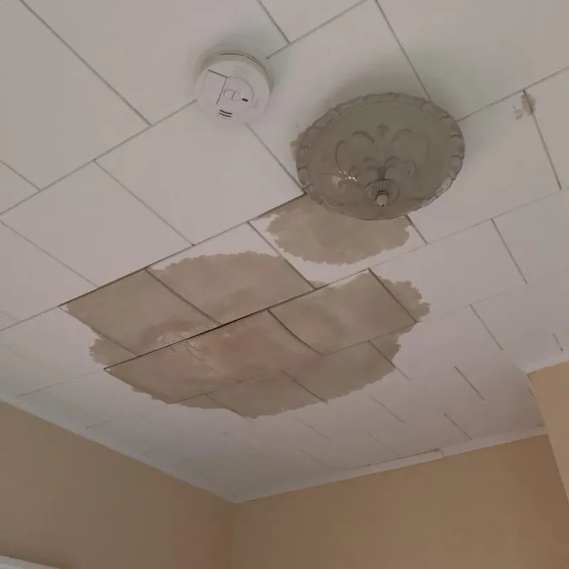 Ceiling Water Damage Repair in Dana, NC
