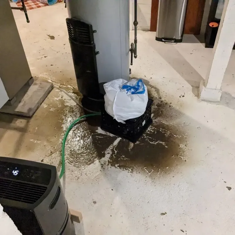 Sewage Backup Cleanup Service in Dana, NC